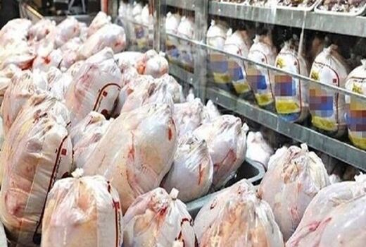 عرضه روزانه ۱۱۶ تن گوشت مرغ گرم در سطح استان قزوین