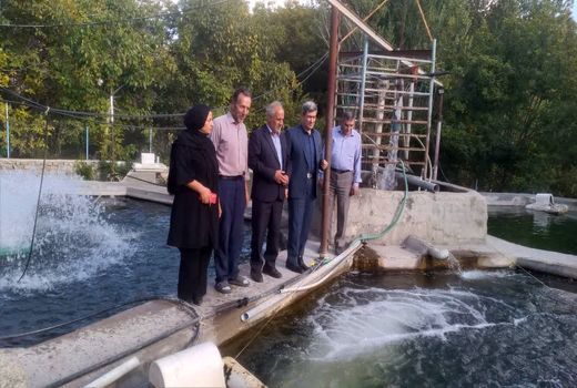 برای اولین بار در کشور، استفاده از عرقیات گیاهی در پرورش ماهی در آذربایجان شرقی 