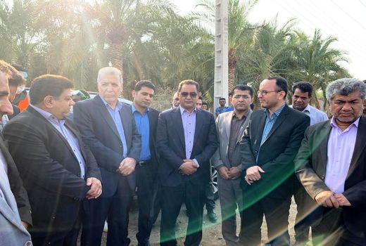 آغاز مرحله دوم واکسیناسیون دام ها برای کنترل تب برفکی در کشور