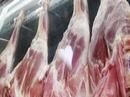 نکا پایلوت طرح خودکفایی گوشت قرمز شد