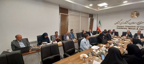 امکان جایگزینی ۲۰ درصد نهاده‌های وارداتی طیور با ارقام جدید باقلا