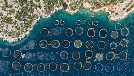 مشاهدات هوایی مزارع ماهی