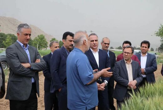 پیش‌بینی تولید ۱۴ میلیون تن گندم در کشور/ امنیت غذایی در مسیر ثبات