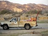 421 هکتار از مراتع سیستان وبلوچستان علیه ملخ صحرایی سمپاشی شد 