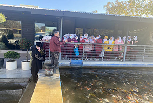 بازدید دانش آموزان استان قزوین از مراکز پرورش ماهی