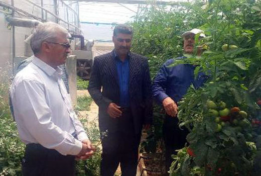 تسهیل امور مربوط به فعالیت و توسعه کشت های گلخانه ای در استان آذربایجان شرقی 