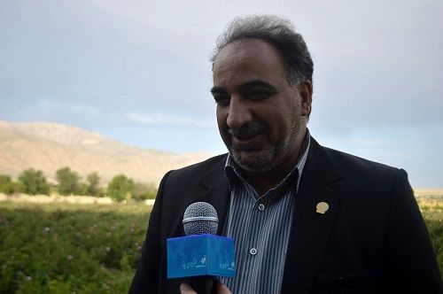 استان فارس دومین تولید کننده نهال است