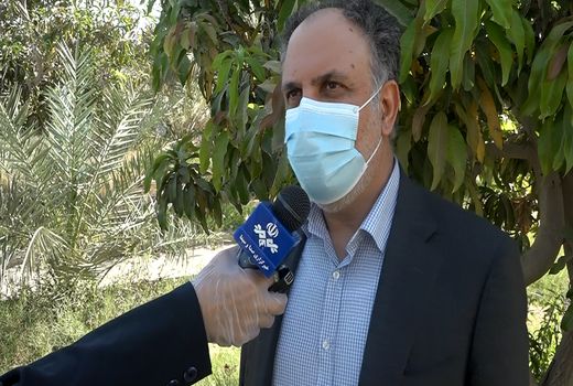 توزیع ۳ هزار و ۶۰۰ تن کوره اوره تا پایان سال/ کشاورزان نگران تامین کودهای شیمیایی نباشند