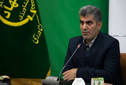 طرح جهش تولید در دیمزارها افرایش درآمد کشاورزان را به دنبال خواهد داشت