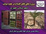  بهره برداری  از  سه طرح آب و خاک و صنایع در شهرستان فهرج به مناسبت هفته دولت