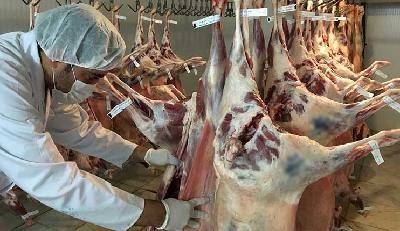 نظارت بهداشتی دامپزشکی فارس در ماه رمضان شدت یافت 