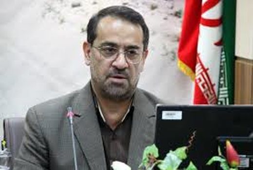 ٩٤٨ هکتار از منابع طبیعی فارس جنگل کاری می شود