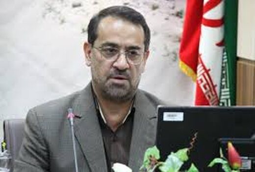 ٩٤٨ هکتار از منابع طبیعی فارس جنگل کاری می شود