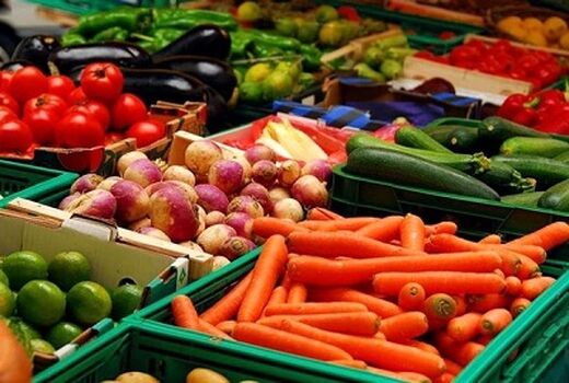 اشتغال سه هزار و ۶۰۰ نفر در طرح‌های صنایع تبدیلی حوزه کشاورزی ایلام