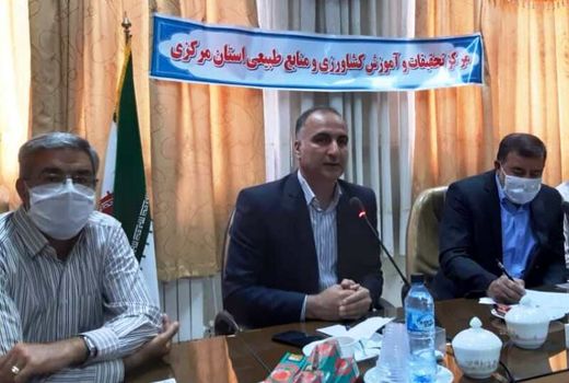 عملیات مبارزه با سن گندم امسال در200هکتار از اراضی کشاورزی استان مرکزی 