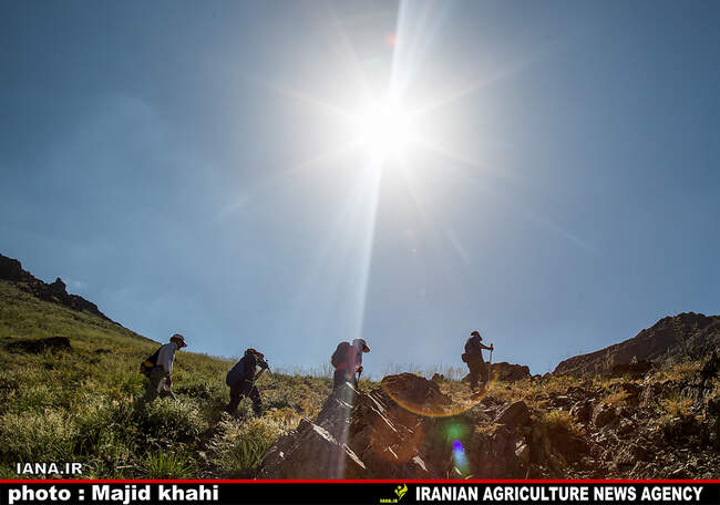 کوه پیمایی
