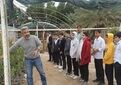 کشاورزی سالانه به ۴۳ هزار نیروی جدید نیاز دارد؛ خروجی آموزش‌های مهارتی ۱۳ هزار نفر است