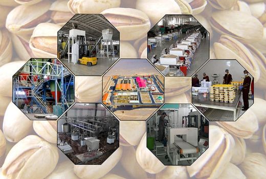 ۲۳۱ هزار میلیارد تومان نیاز تسهیلاتی برای صنایع تبدیلی و تکمیلی کشاورزی