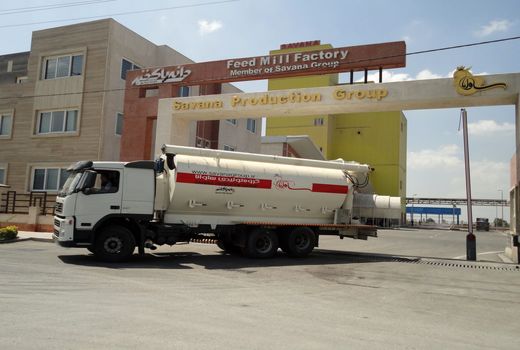 لزوم اخذ گواهی حمل بهداشتی قرنطینه‌ای از دامپزشکی برای حمل و نقل دان مرغ