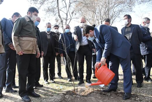 غرس نهال به مناسبت روز جهانی خاک در مجتمع شهید کسایی تبریز