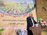 آموزش کشاورزی نیازمند نگاه توسعه‌گرا و حمایت ساختاری است/ کم‌توجهی به آموزش کشاورزی در نظام برنامه‌ریزی کشور