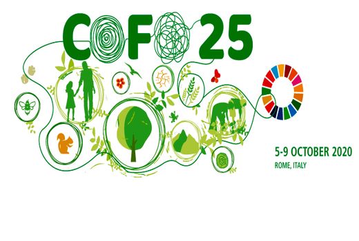 توقف ‎بهره‎ ‎برداری‎ صنعتی از جنگل‌های هیرکانی‎ ‎الگویی‎برای‎ ‎حفاظت جنگل های‎ ‎طبیعی‎ ‎