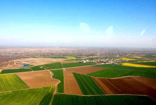 رفع تداخل یک میلیون هکتار از اراضی کشاورزی در قزوین