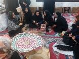 تیم تسهیلگری استان بوشهر با هدف توسعه جوامع محلی ایجاد شد