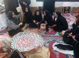 تیم تسهیلگری استان بوشهر با هدف توسعه جوامع محلی ایجاد شد