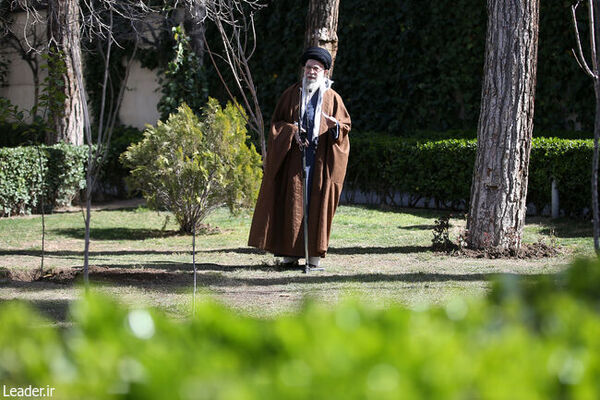 تخریب جنگل‌، محیط زیست و پوشش‌ گیاهی تخریب منافع ملی است