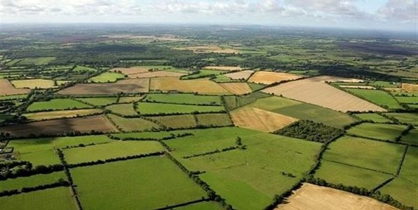 جهش تولید در 30 هزار هکتار دیمزار مازندران/ افزایش 15 درصدی تولید