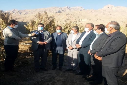 سرمازدگی مرکبات فارس یک فاجعه بزرگ است