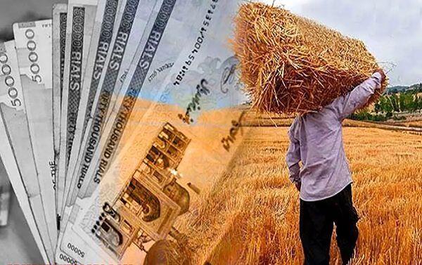 بدهیهای تعاون روستایی به کشاورزان صفر شد/ مدیریت بازار شب عید بدون اتکا به بودجه دولت