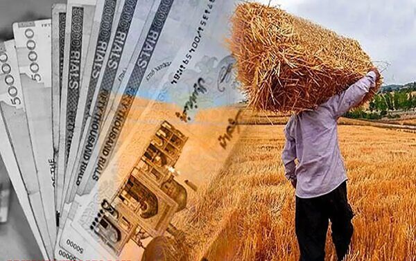 بدهی‌های تعاون روستایی به کشاورزان صفر شد/ مدیریت بازار شب عید بدون اتکا به بودجه دولت