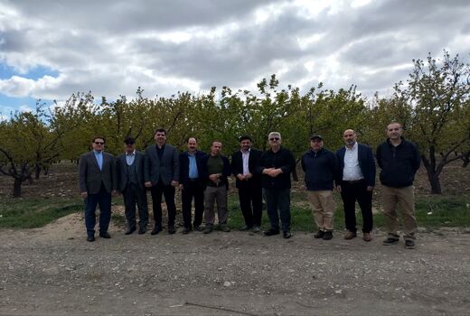 پژوهشگران باغبانی پای کار ارتقای خودکفایی کشور آمدند/«خط مقدم امنیت غذایی» در مشکین‌دشت