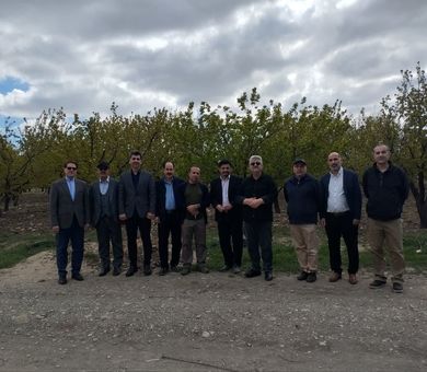 پژوهشگران باغبانی پای کار ارتقای خودکفایی کشور آمدند/«خط مقدم امنیت غذایی» در مشکین‌دشت