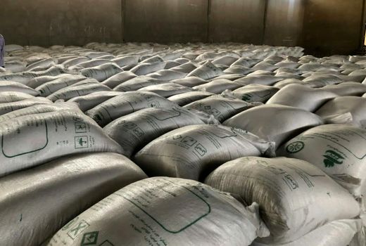 تأمین و توزیع 190 تن انواع کودهای شیمیایی در شهرستان ساوجبلاغ