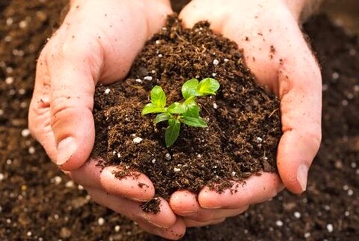 خاک حافظ منابع  آب است