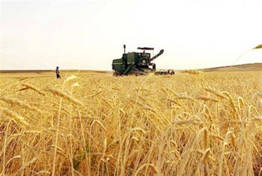 قیمت تضمینی جایگزین خرید تضمینی می‌شود