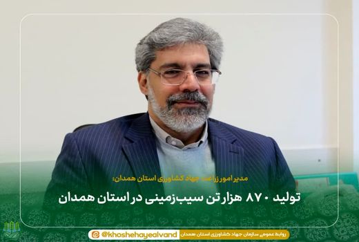 تولید ۸۷۰ هزار تن سیب‌زمینی در استان همدان