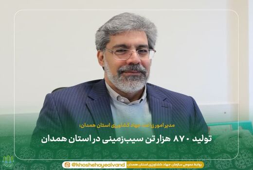 تولید ۸۷۰ هزار تن سیب‌زمینی در استان همدان