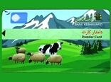 صدور دامدار کارت در استان ایلام آغاز شد