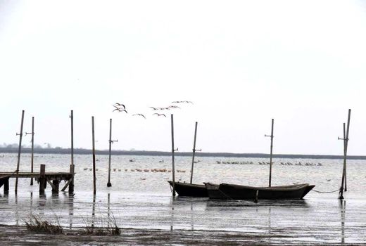 طرح گردشگری آشوراده هنوز کامل نیست 