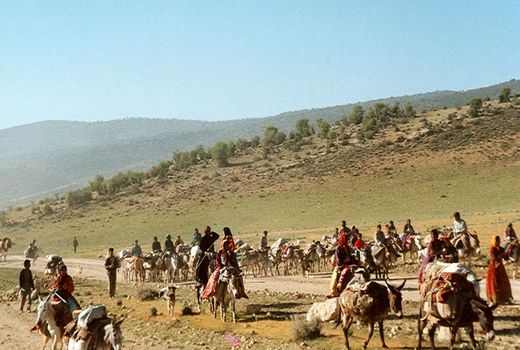 ممنوعیت کوچ زودهنگام عشایر به مراتع چهارمحال و بختیاری