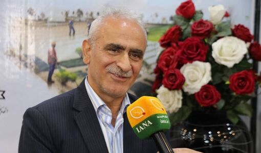 افزایش هزینه‌های تولید محور اصلی نشست تشکل‌های تعاون روستایی با وزیر جهاد کشاورزی