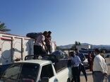 150 تن بادمجان از کشاورزان هرمزگانی خریداری شد