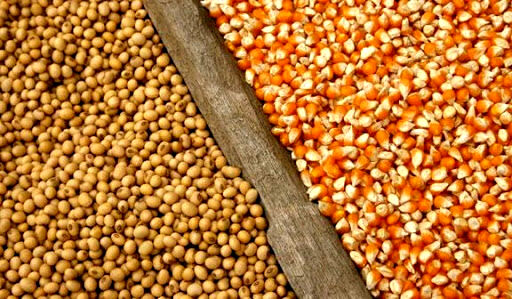 توزیع سیستماتیک نهاده‌های دامی در استان فارس