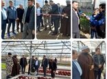 افتتاح گلخانه سبزی و صیفی در سرحدآباد شهرستان فردیس