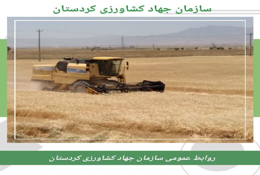 قیمت هر کیلو گندم ۱۵ هزار تومان است