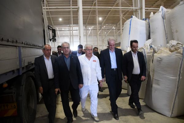 تأمین ۹۰ درصد گوشت قرمز کشور از تولید داخل تا پایان برنامه هفتم توسعه